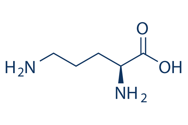 L-OrnithineͼƬ