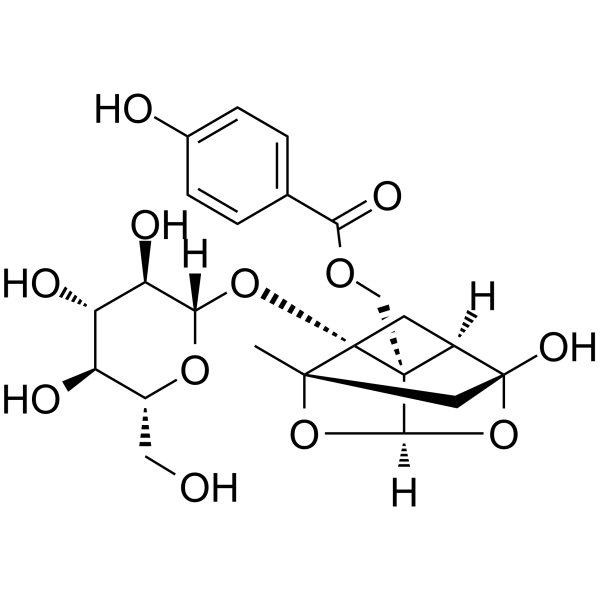 OxypaeoniflorinͼƬ