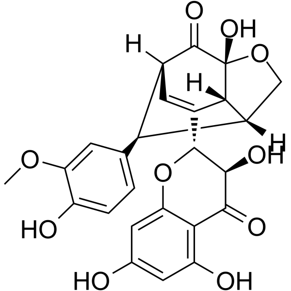 SilydianinͼƬ