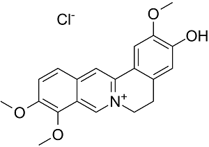 Jatrorrhizine chloride图片