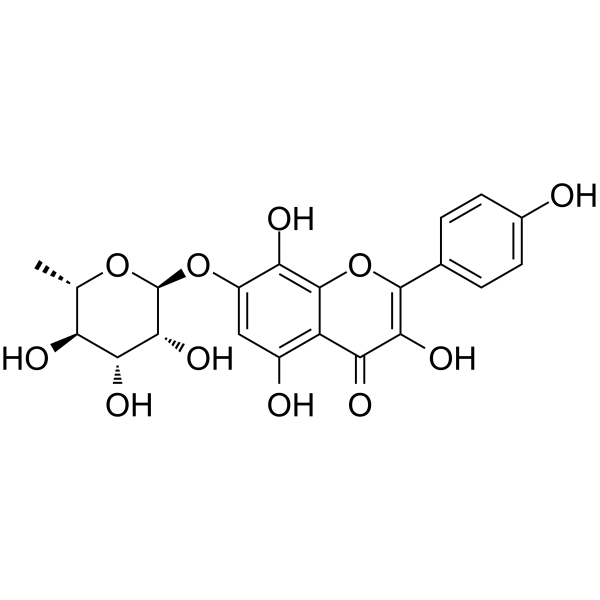 RhodioninͼƬ