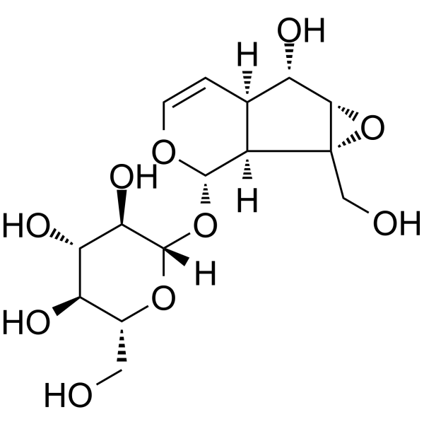 CatalpolͼƬ