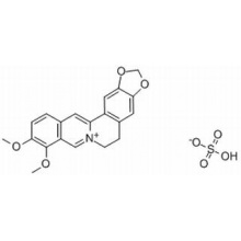 Berberine-SulfateͼƬ