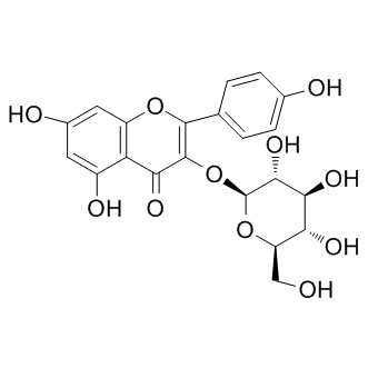 astragalinͼƬ