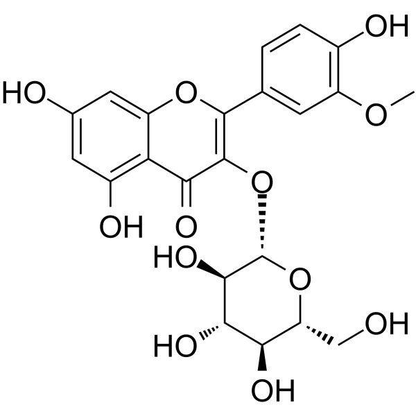 Isorhamnetin-3-O--D-GlucosideͼƬ