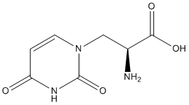 (S)-WillardiineͼƬ