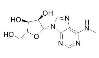 N6-MethyladenosineͼƬ