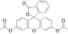 Fluorescein diacetate(FDA)ͼƬ