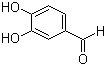 Protocatechualdehyde图片