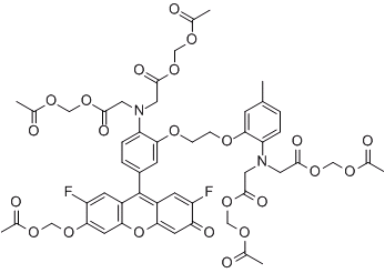 Fluo-4 AMͼƬ