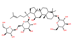 Notoginsenoside-FeͼƬ