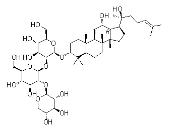 Notoginsenoside-Ft1ͼƬ