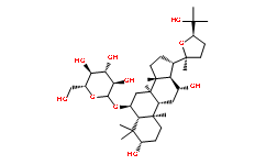 Pseudoginsenoside-RT5ͼƬ