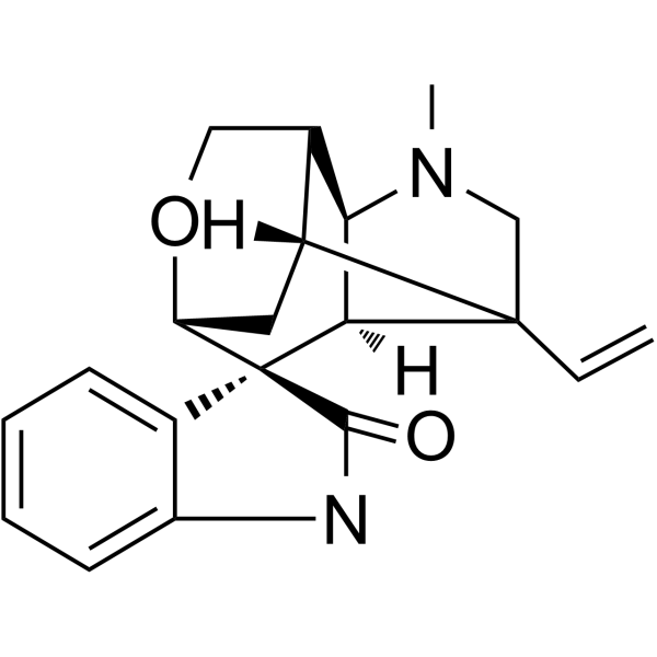 GelsemineͼƬ