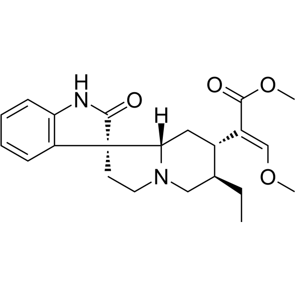 Isorhychophylline图片