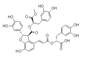 9-Methyl-lithospermate-BͼƬ