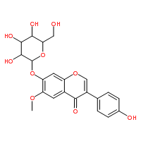 GlycitinͼƬ