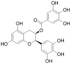 (-)-Epigallocatechin GallateͼƬ