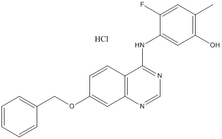 ZM 323881 hydrochlorideͼƬ