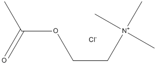 Acetylcholine ChlorideͼƬ