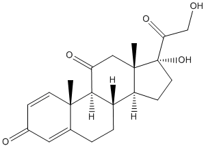 PrednisoneͼƬ