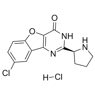 XL413ͼƬ