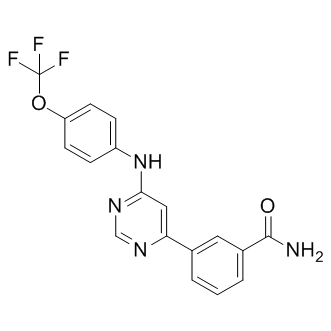 GNF-2ͼƬ