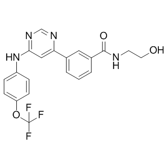 GNF-5ͼƬ