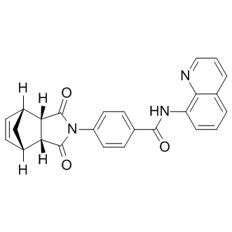 IWR-1-endoͼƬ