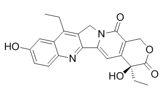 SN-38ͼƬ