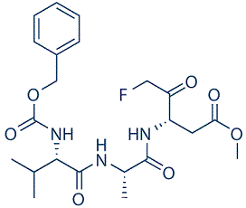 Z-VAD-FMKͼƬ