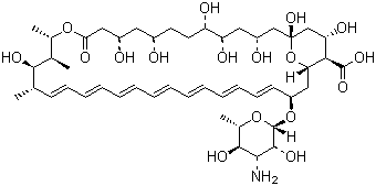 Amphotericin B SolubilizedͼƬ