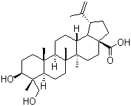 23-Hydroxybetulinic acidͼƬ