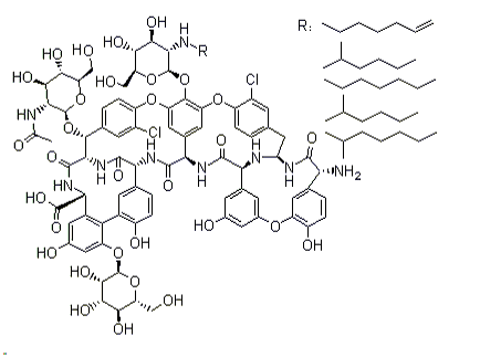 TeicoplaninͼƬ