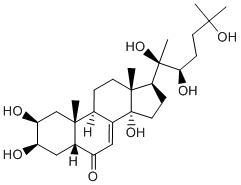 20-HydroxyecdysoneͼƬ