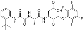 EmricasanͼƬ