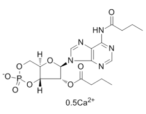 Bucladesine calcium(DC2797)ͼƬ