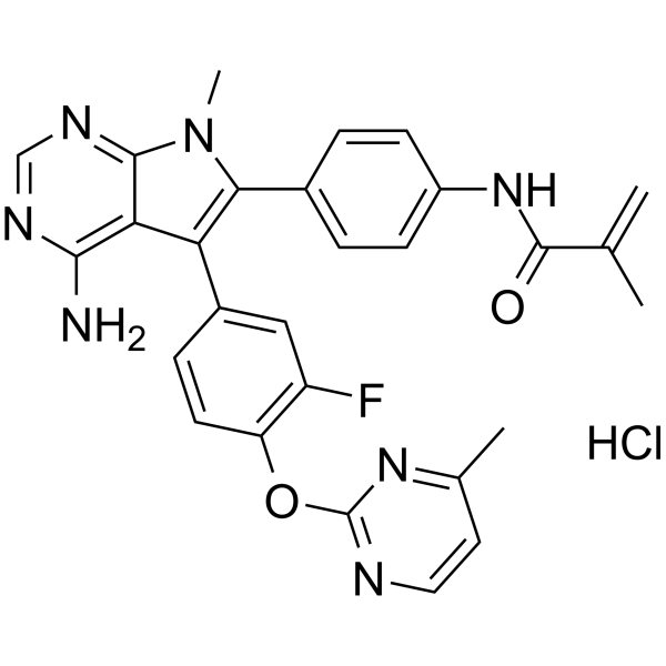 FGFR2-IN-3 hydrochlorideͼƬ