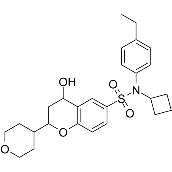 RORγt inverse agonist 23ͼƬ