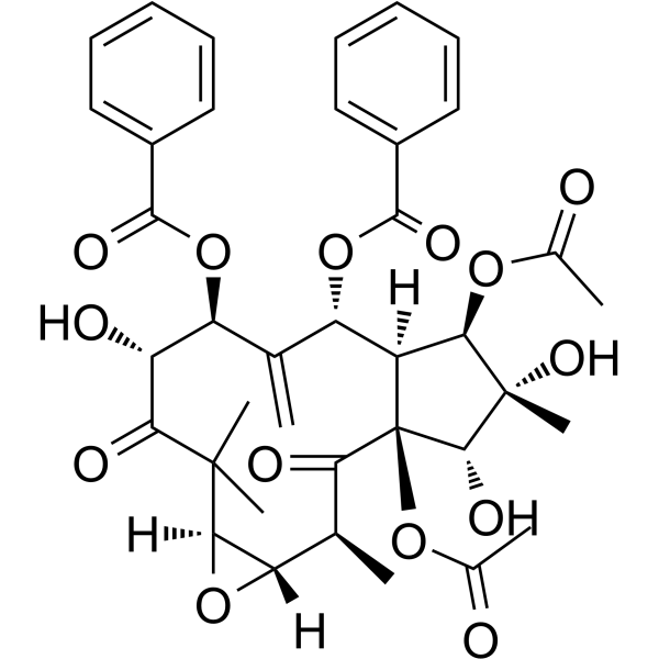 Kansuinine BͼƬ