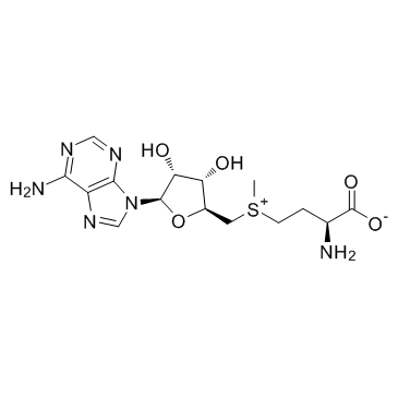 Ademetionine(S-Adenosyl-L-methionine S-Adenosyl methionine SAMe AdoMet)ͼƬ