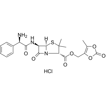 Lenampicillin hydrochloride(KBT 1585 hydrochloride)ͼƬ