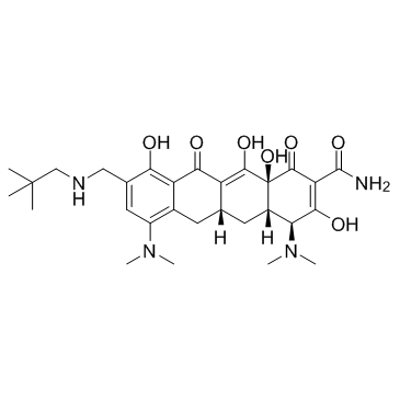 Omadacycline(PTK 0796 Amadacycline)ͼƬ