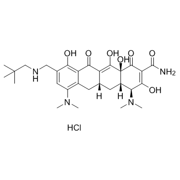 Omadacycline hydrochloride(PTK0796 hydrochlorideAmadacycline hydrochloride)ͼƬ