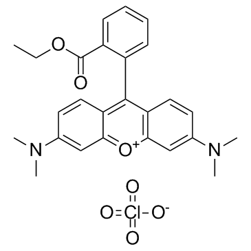 TMRE(Tetramethylrhodamine ethyl ester perchlorate)ͼƬ