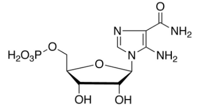 AICA-Riboside,5'-PhosphateͼƬ