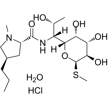 Lincomycin hydrochloride hydrate(Lincomycin hydrochloride monohydrate)ͼƬ
