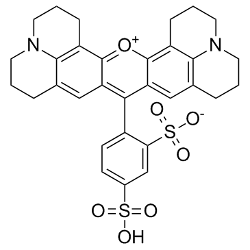 Sulforhodamine 101(SR101)ͼƬ