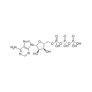 ATP(Adenosine 5'-triphosphate)ͼƬ