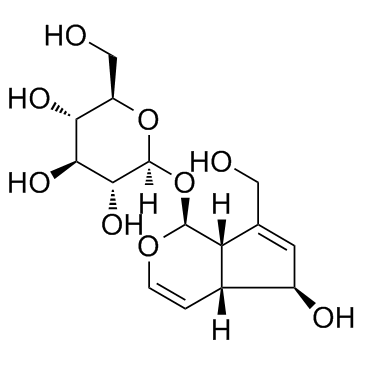 AucubinͼƬ